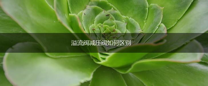 溢流阀减压阀如何区别,第1张