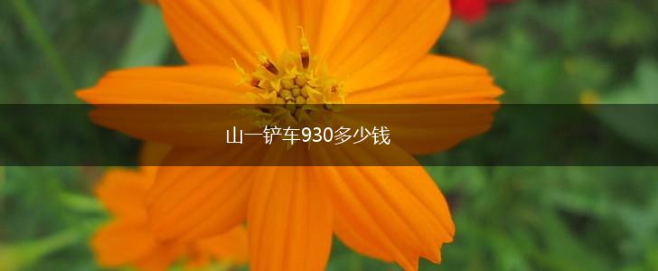 山一铲车930多少钱,第1张