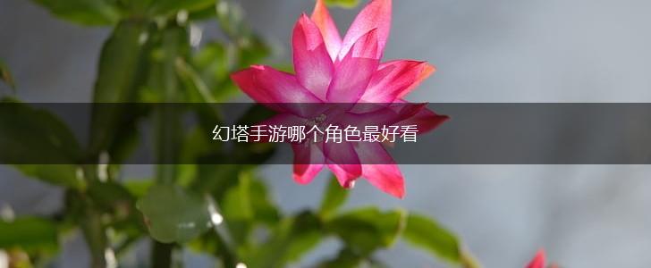 幻塔手游哪个角色最好看,第1张