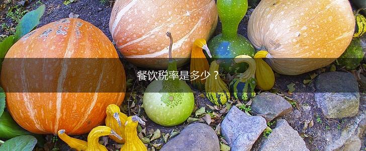 餐饮税率是多少？,第1张