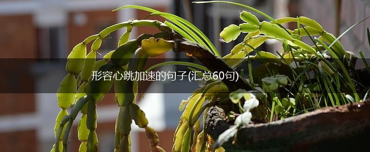 形容心跳加速的句子(汇总60句),第1张