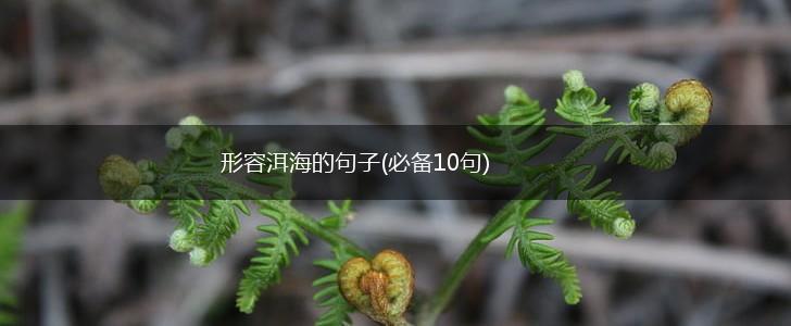 形容洱海的句子(必备10句),第1张