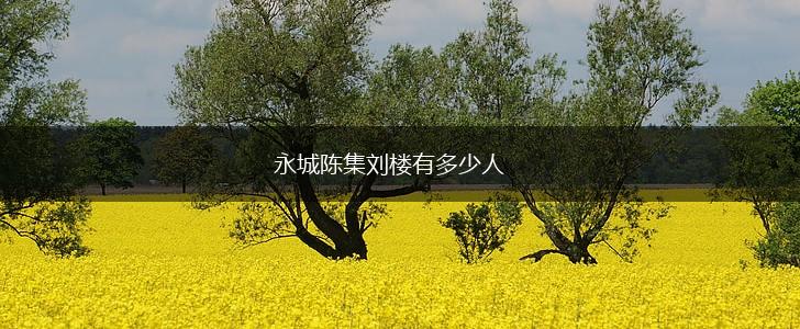 永城陈集刘楼有多少人,第1张
