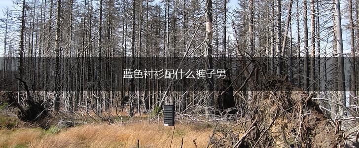 蓝色衬衫配什么裤子男,第1张