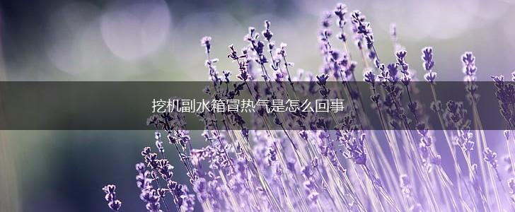 挖机副水箱冒热气是怎么回事,第1张