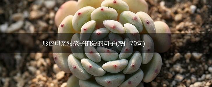 形容母亲对孩子的爱的句子(热门70句),第1张