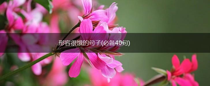 形容很饿的句子(必备40句),第1张
