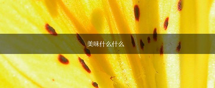 美味什么什么,第1张