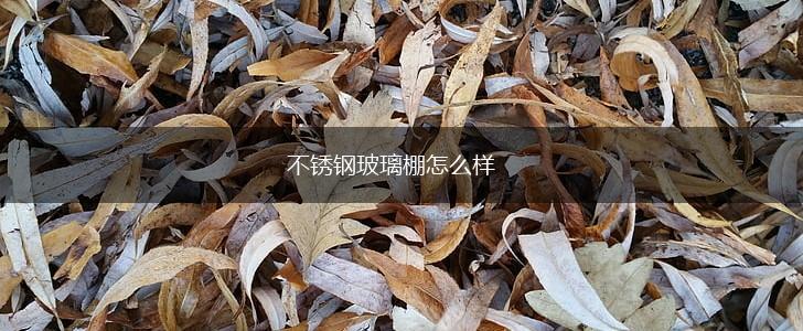 不锈钢玻璃棚怎么样,第1张