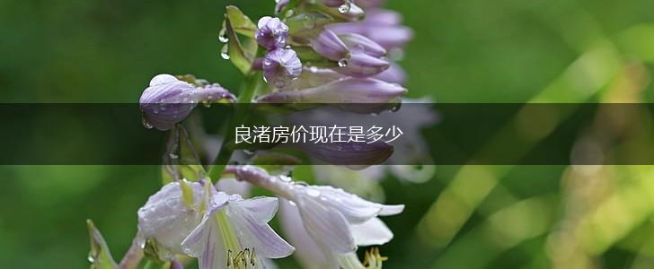 良渚房价现在是多少,第1张