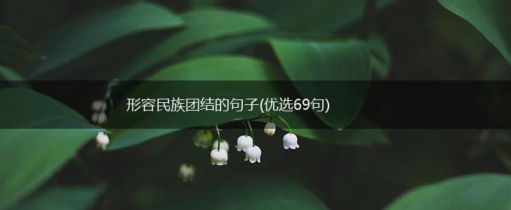 形容民族团结的句子(优选69句),第1张