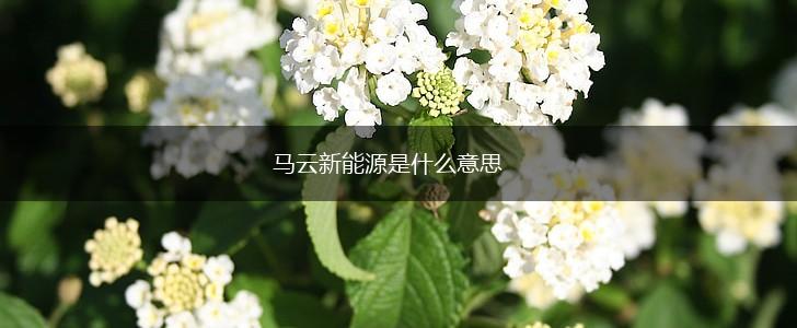 马云新能源是什么意思,第1张