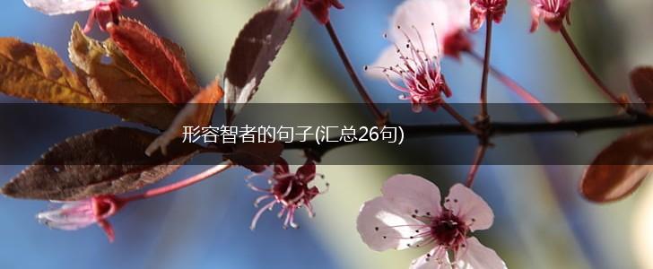 形容智者的句子(汇总26句),第1张