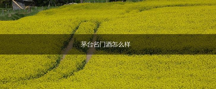 茅台名门酒怎么样,第1张