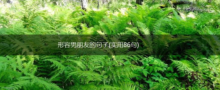 形容男朋友的句子(实用86句),第1张