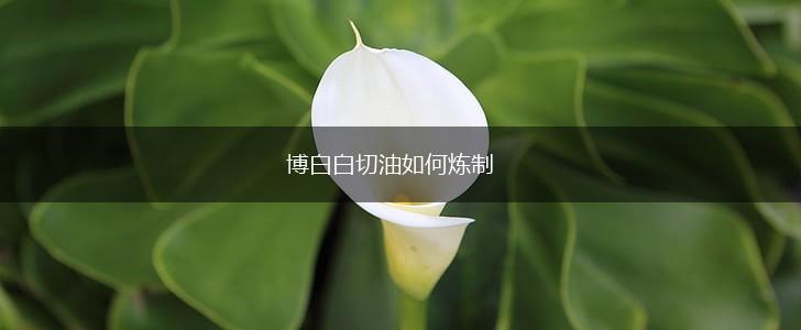 博白白切油如何炼制,第1张