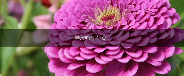 卷尺哪里有卖,第1张