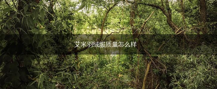 艾米羽绒服质量怎么样,第1张
