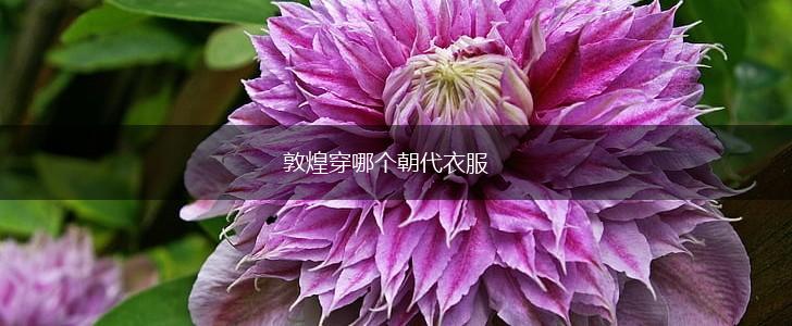 敦煌穿哪个朝代衣服,第1张