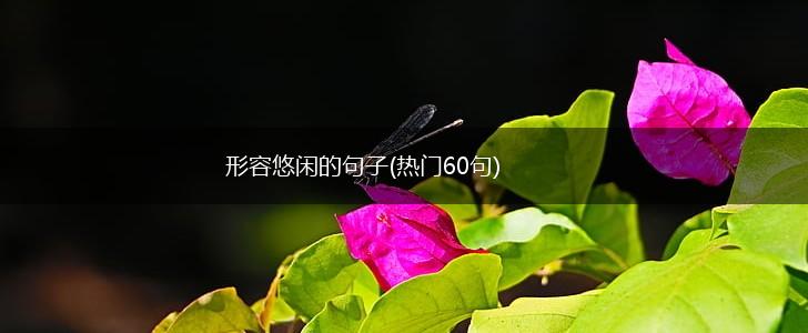 形容悠闲的句子(热门60句),第1张