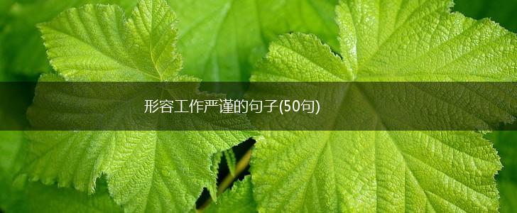 形容工作严谨的句子(50句),第1张