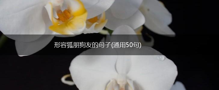形容狐朋狗友的句子(通用50句),第1张