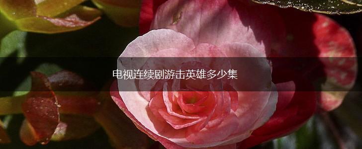 电视连续剧游击英雄多少集,第1张