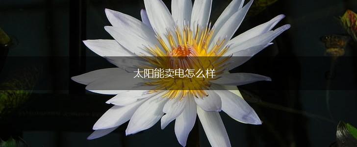 太阳能卖电怎么样,第1张