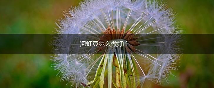 泡虹豆怎么做好吃,第1张