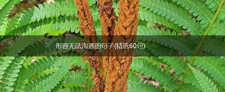 形容无法沟通的句子(精选60句),第1张