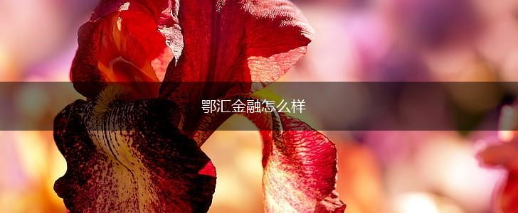 鄂汇金融怎么样,第1张