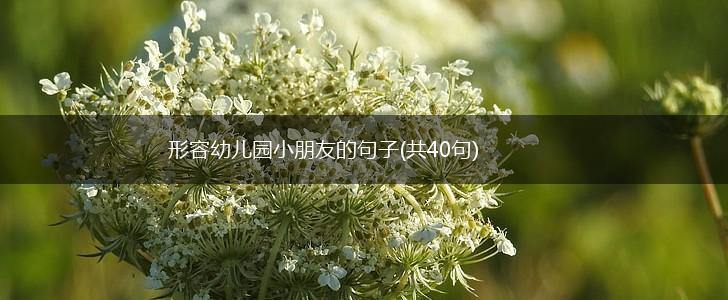 形容幼儿园小朋友的句子(共40句),第1张