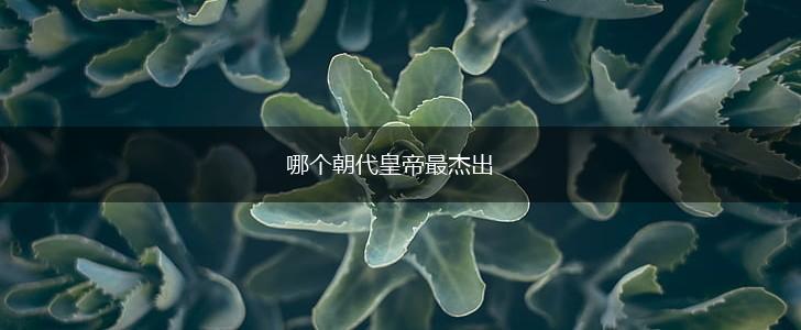 哪个朝代皇帝最杰出,第1张