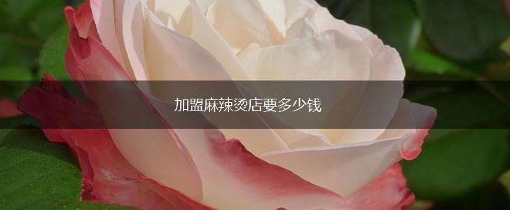 加盟麻辣烫店要多少钱,第1张