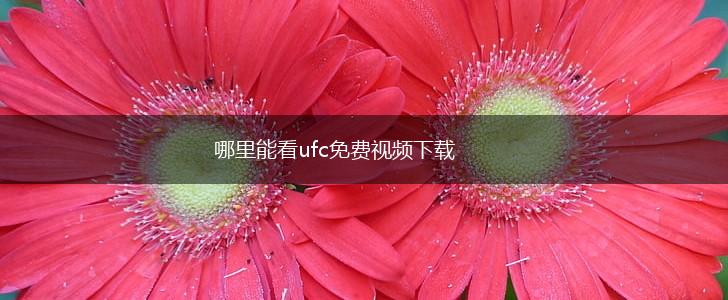 哪里能看ufc免费视频下载,第1张