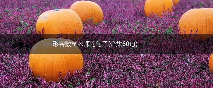 形容数学老师的句子(合集60句),第1张