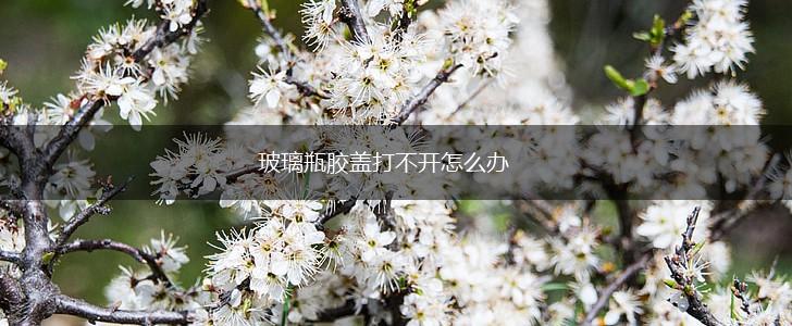 玻璃瓶胶盖打不开怎么办,第1张