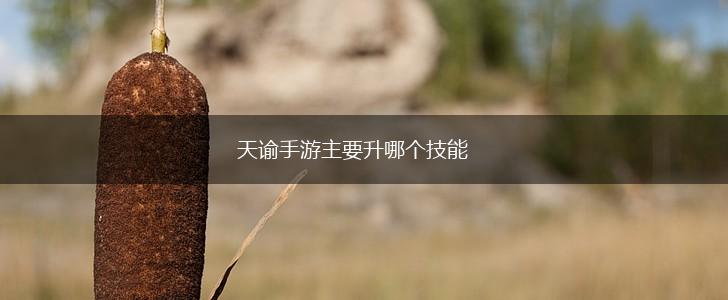 天谕手游主要升哪个技能,第1张
