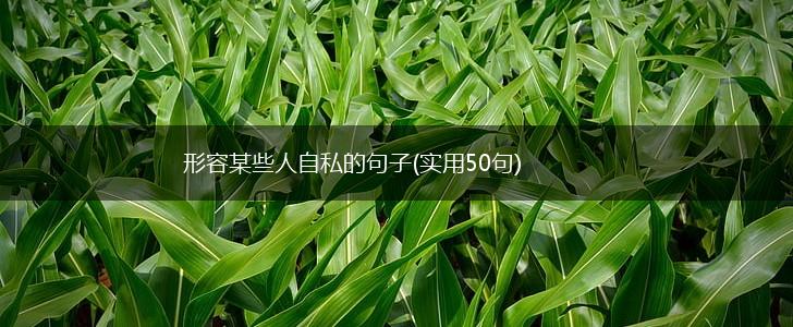 形容某些人自私的句子(实用50句),第1张