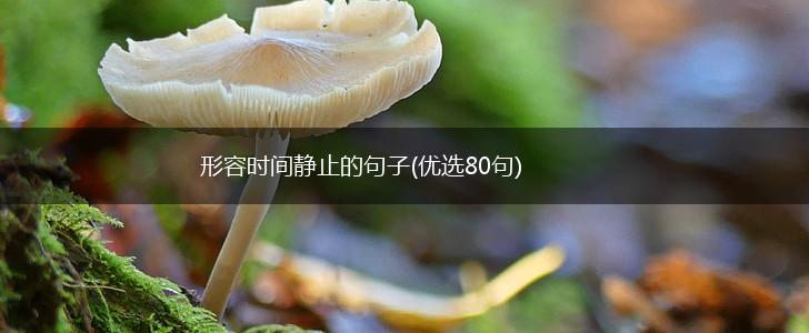 形容时间静止的句子(优选80句),第1张