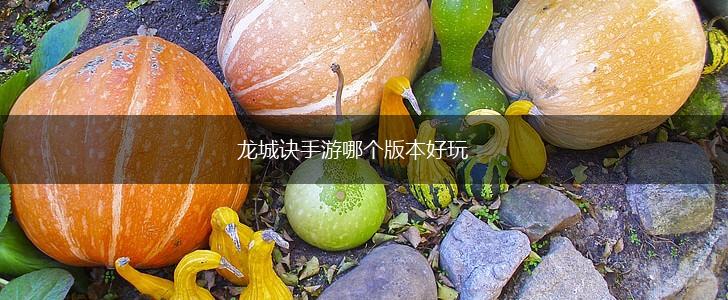 龙城诀手游哪个版本好玩,第1张