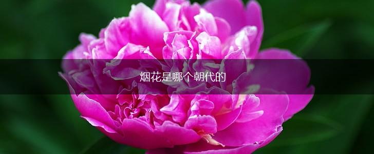 烟花是哪个朝代的,第1张