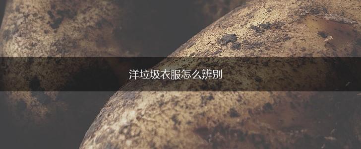 洋垃圾衣服怎么辨别,第1张