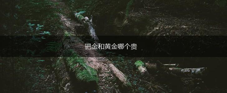 钯金和黄金哪个贵,第1张