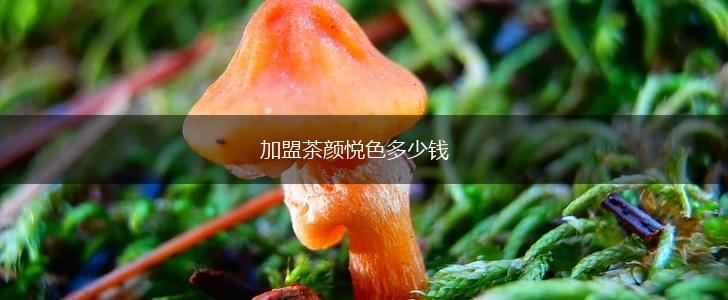加盟茶颜悦色多少钱,第1张