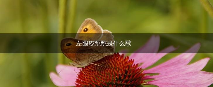 左眼皮跳跳是什么歌,第1张