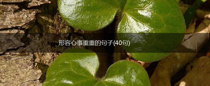 形容心事重重的句子(40句),第1张