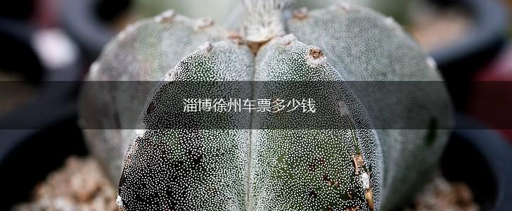 淄博徐州车票多少钱,第1张