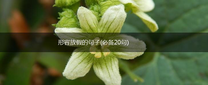 形容放假的句子(必备20句),第1张