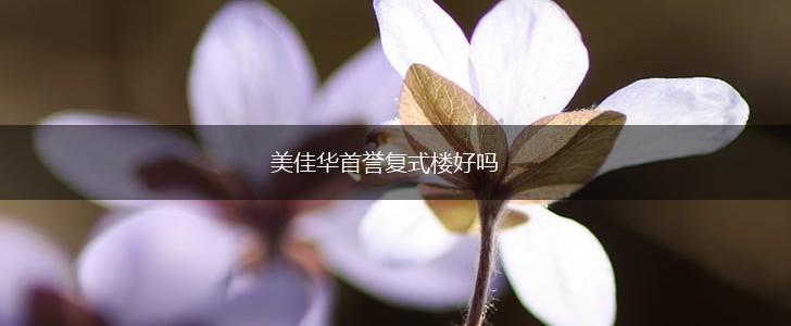 美佳华首誉复式楼好吗,第1张
